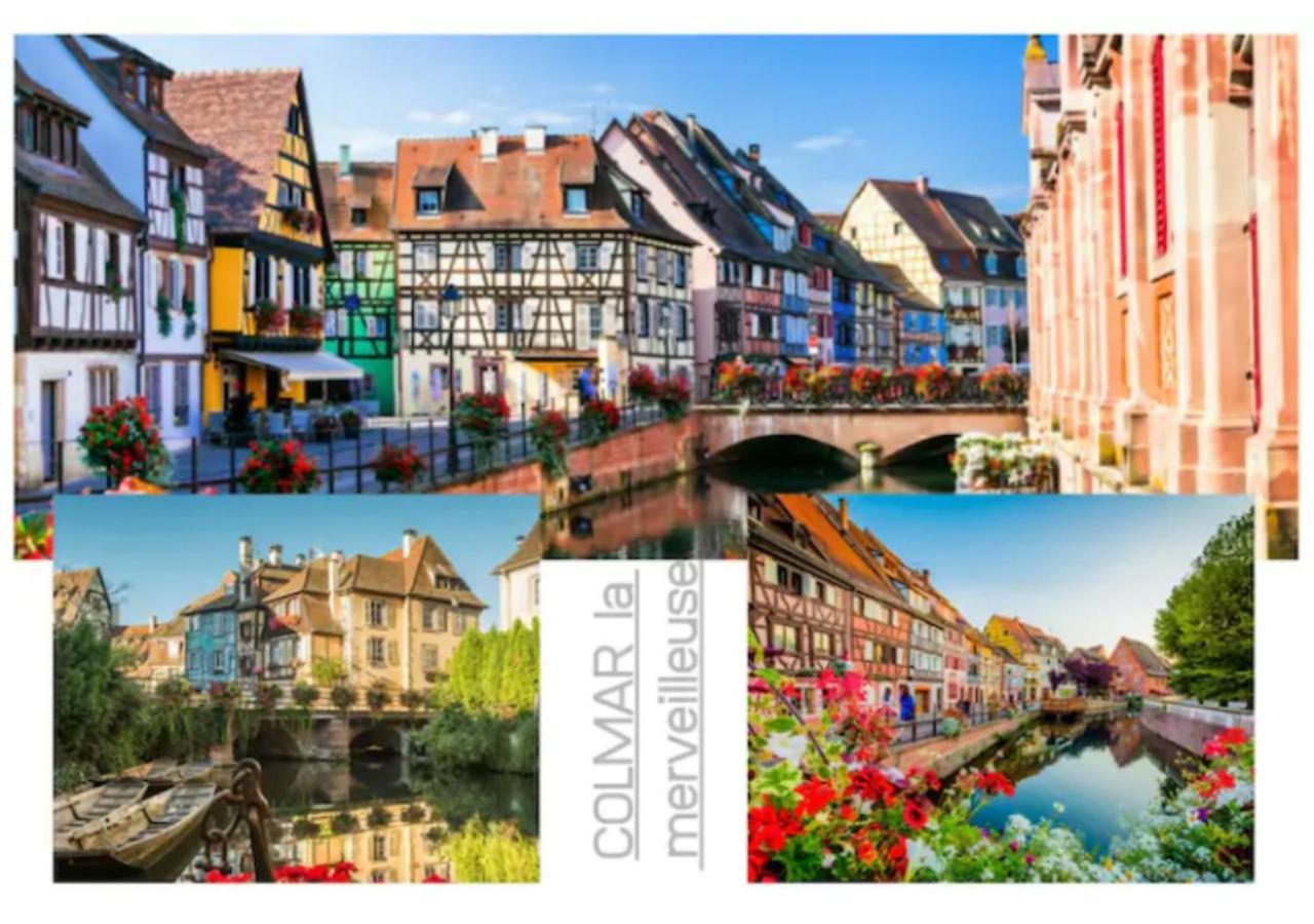 Peyerimhoff Colmar - 3 Chambres - 8 Pers - Clim المظهر الخارجي الصورة