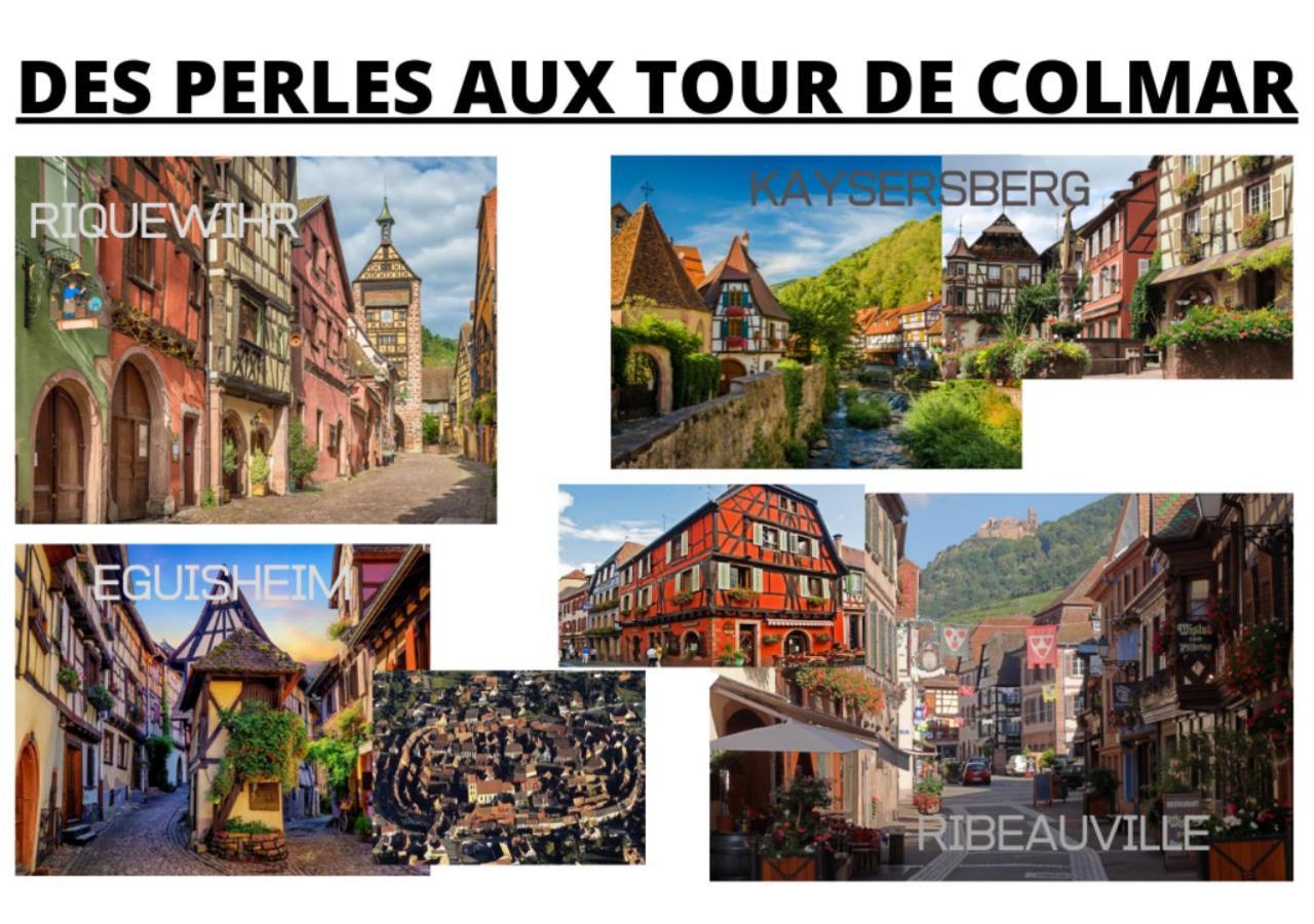 Peyerimhoff Colmar - 3 Chambres - 8 Pers - Clim المظهر الخارجي الصورة